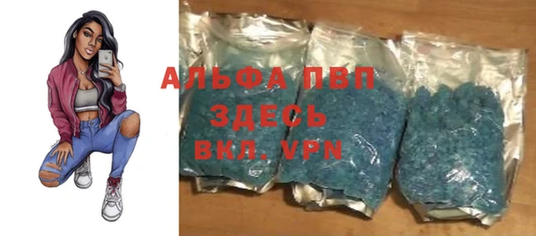 спайс Щигры
