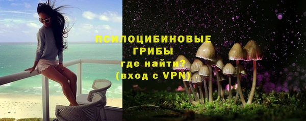 мет Шали