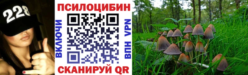 магазин  наркотиков  Тосно  Галлюциногенные грибы GOLDEN TEACHER 